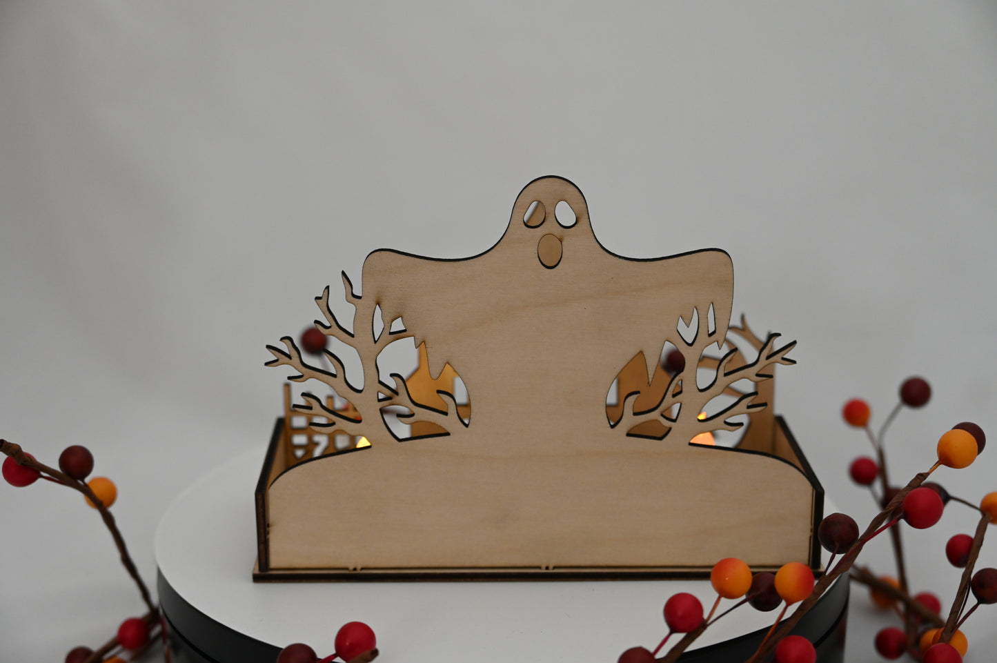 Haunted Display Box #1