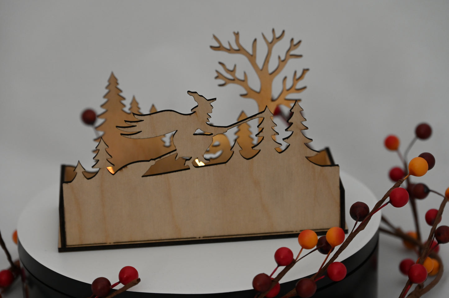 Haunted Display Box #2