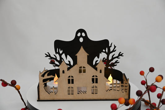 Haunted Display Box #1