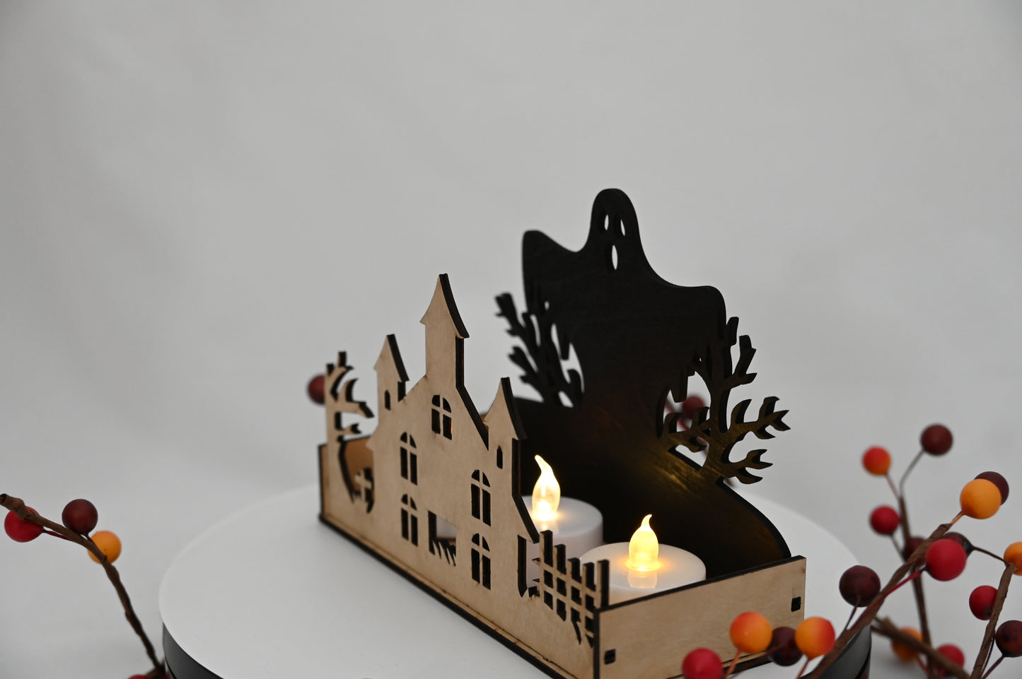 Haunted Display Box #1