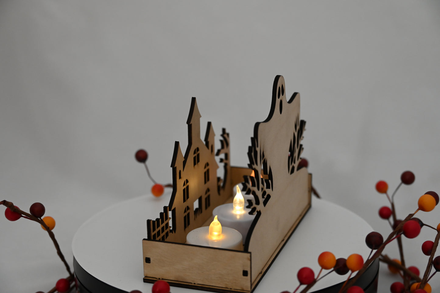 Haunted Display Box #1