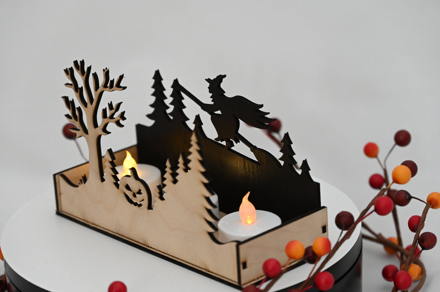 Haunted Display Box #2