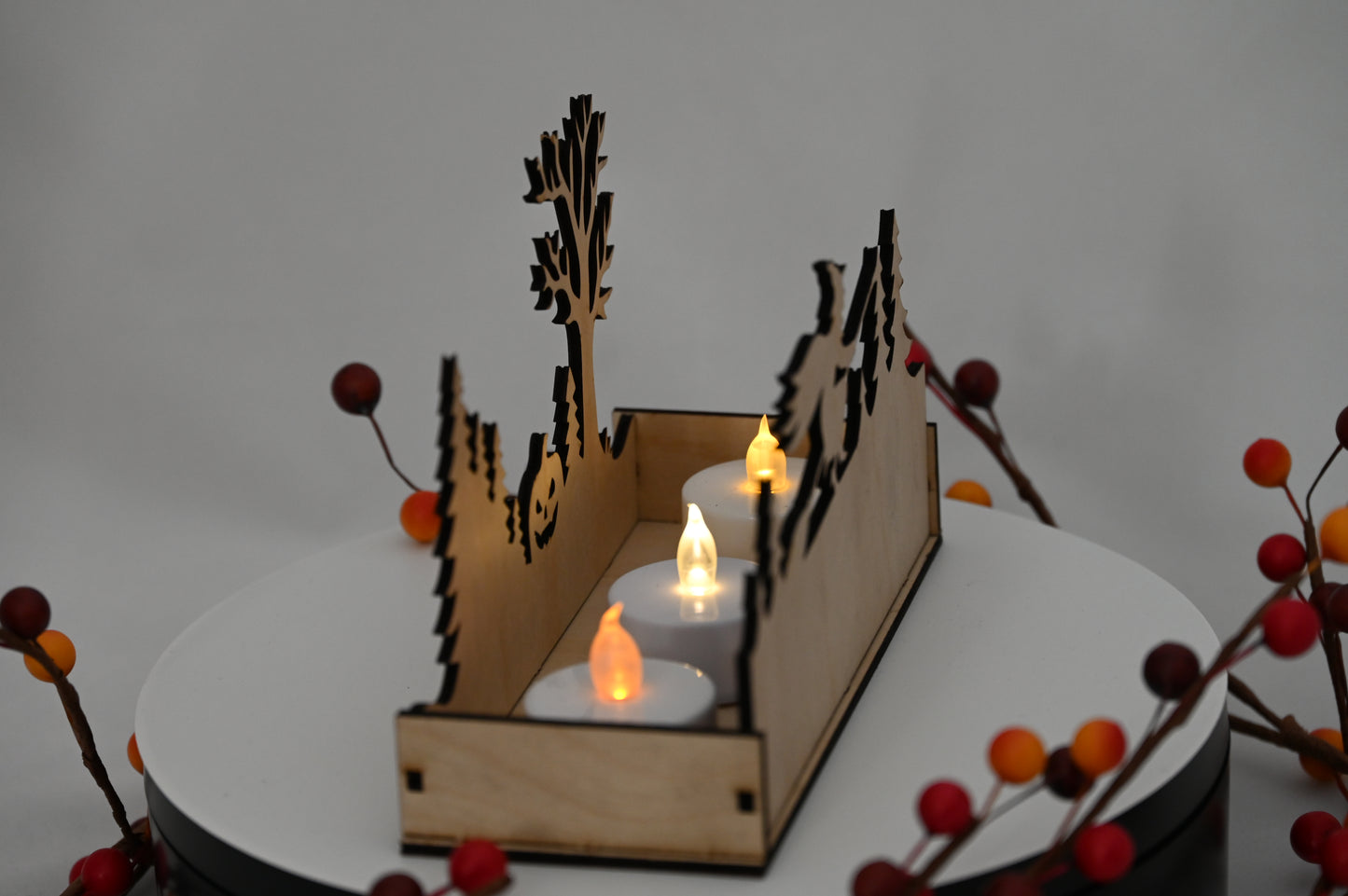 Haunted Display Box #2