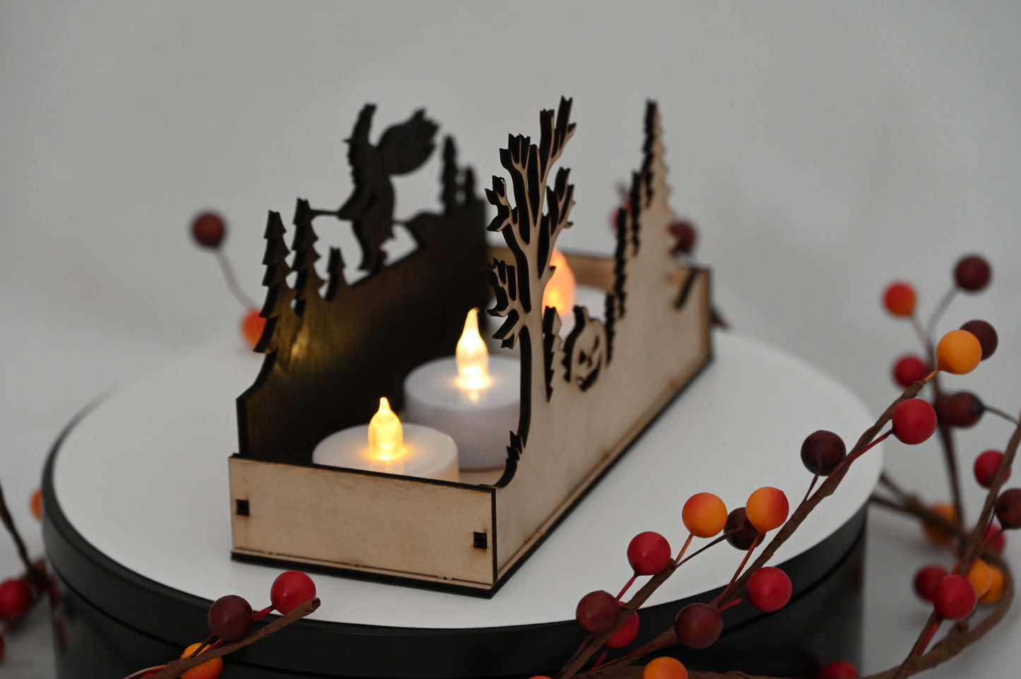 Haunted Display Box #2