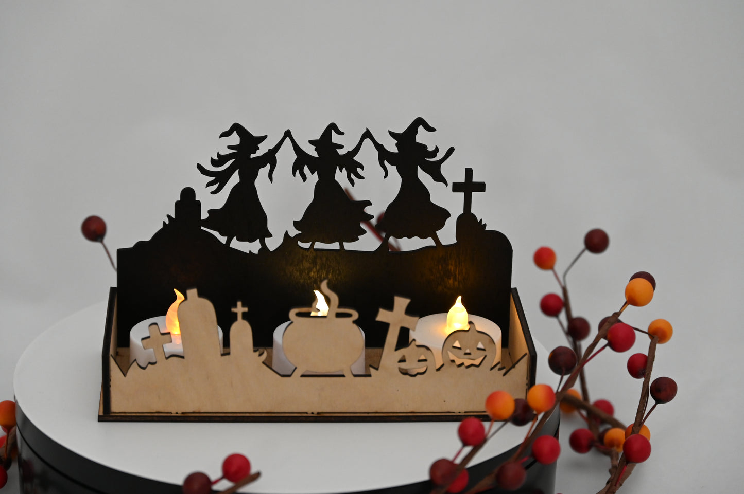 Haunted Display Box #5