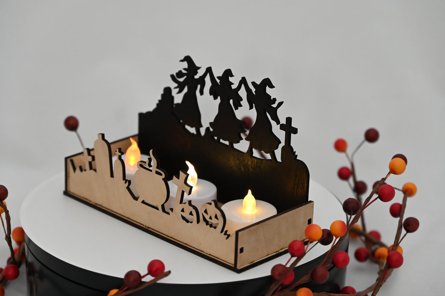 Haunted Display Box #5