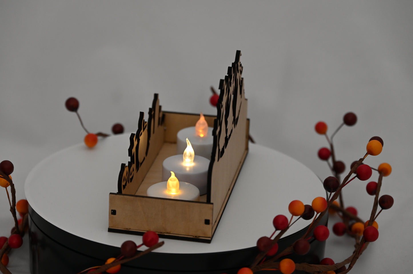 Haunted Display Box #5