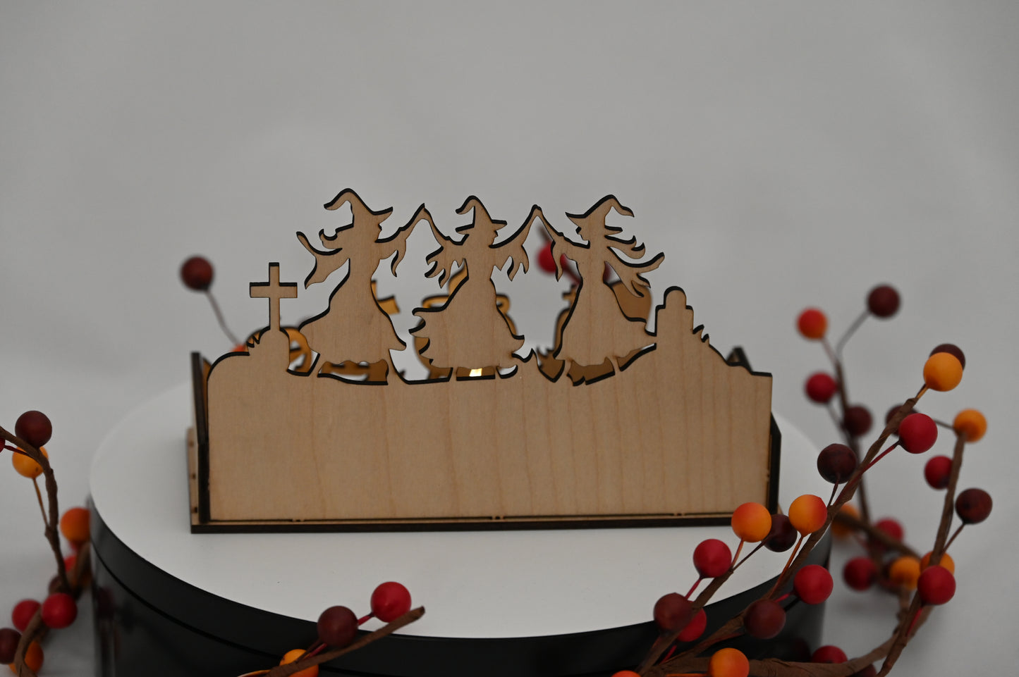 Haunted Display Box #5