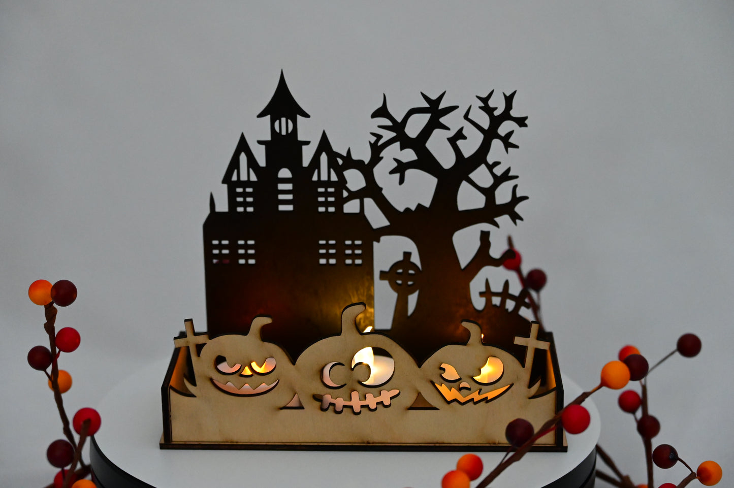 Haunted Display Box #4