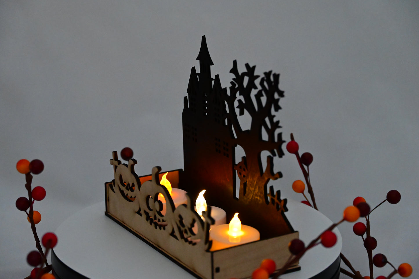 Haunted Display Box #4