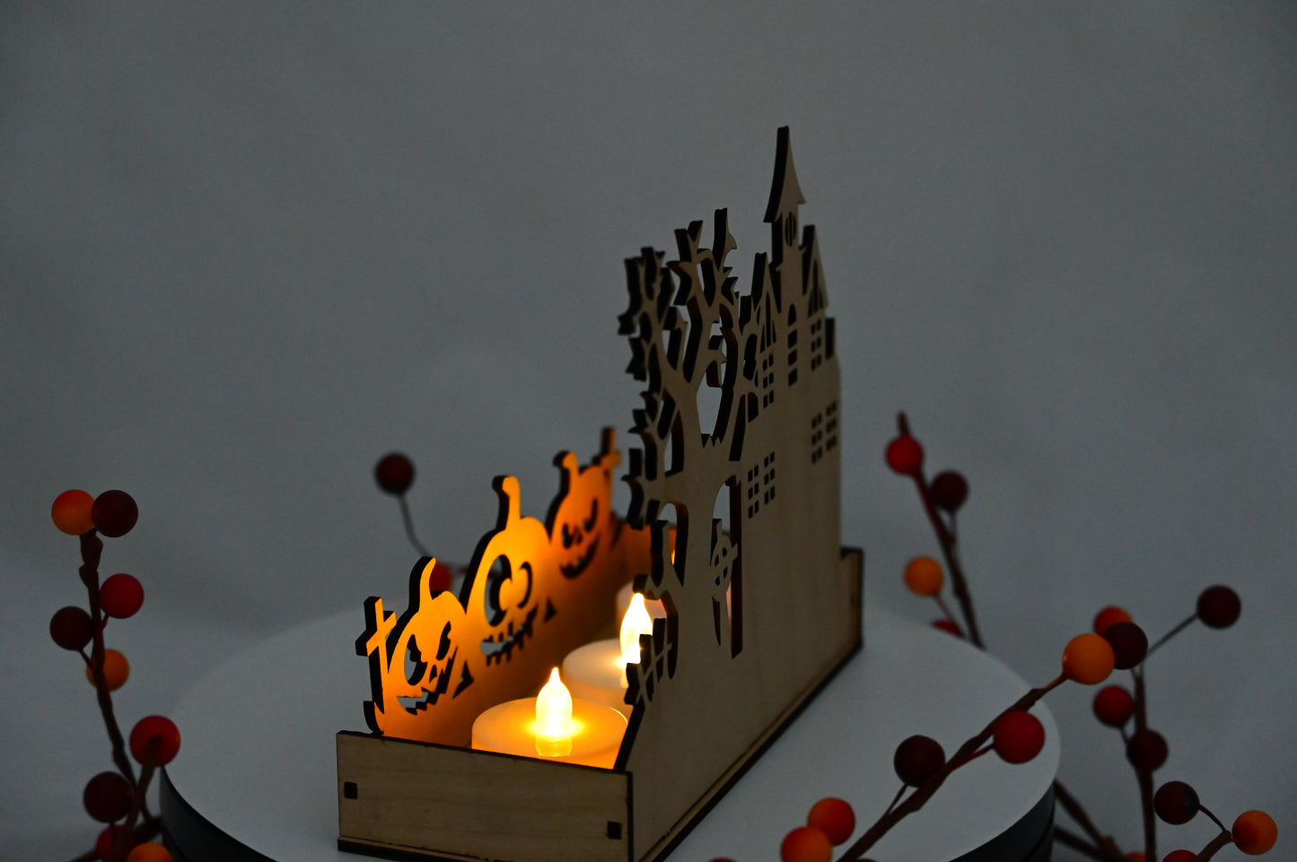 Haunted Display Box #4