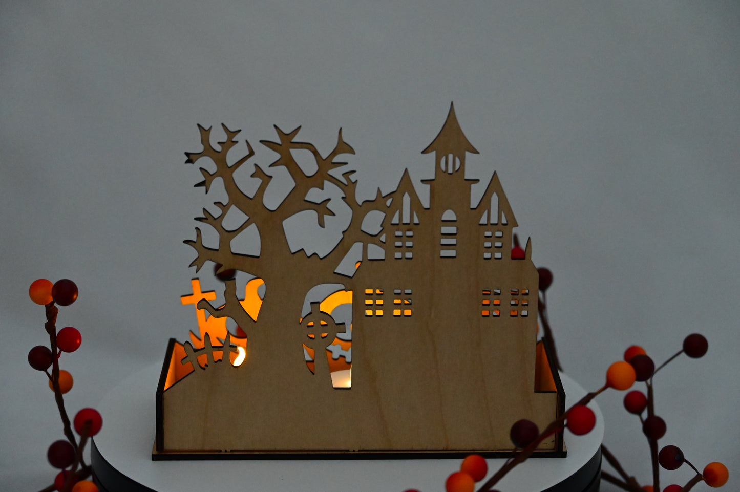 Haunted Display Box #4