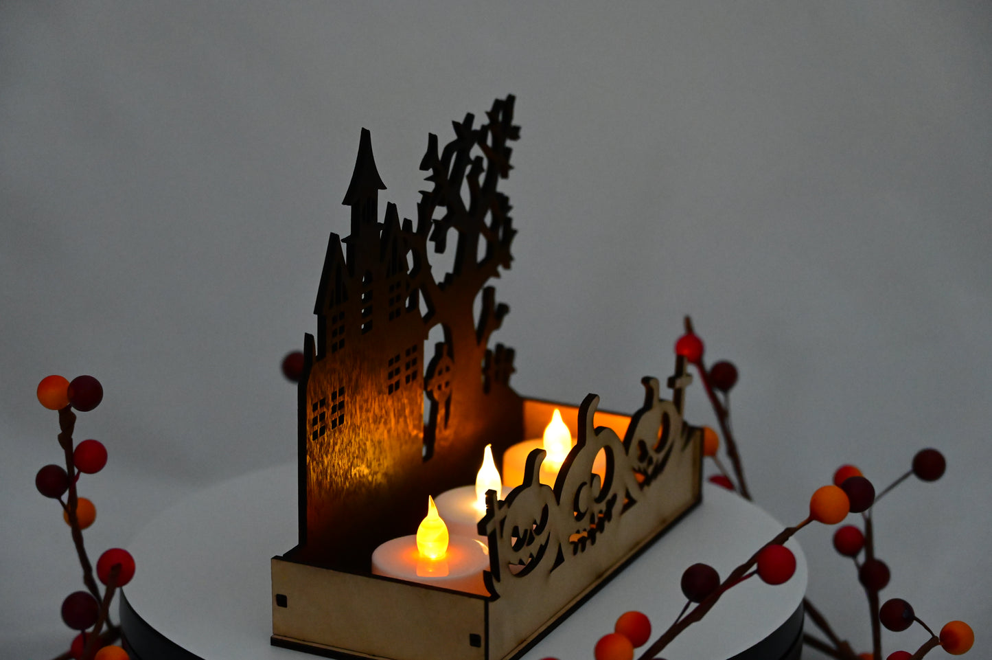 Haunted Display Box #4