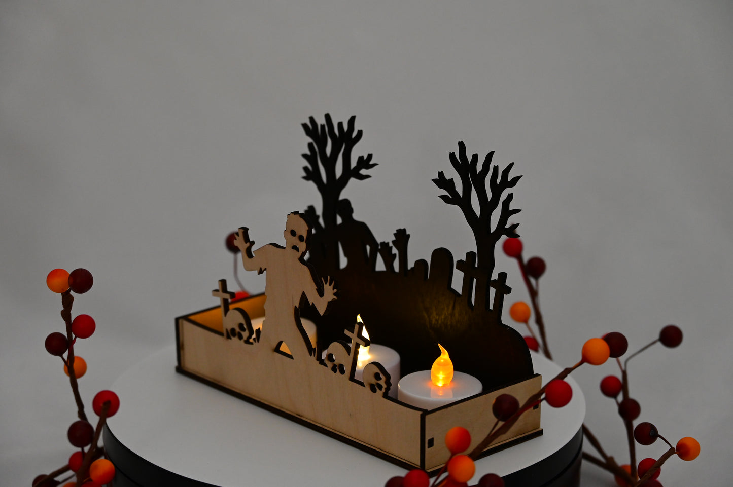 Haunted Display Box #3