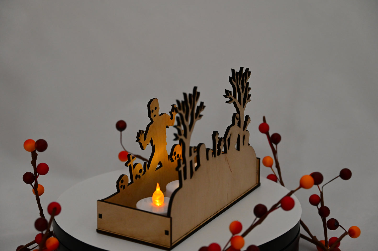 Haunted Display Box #3