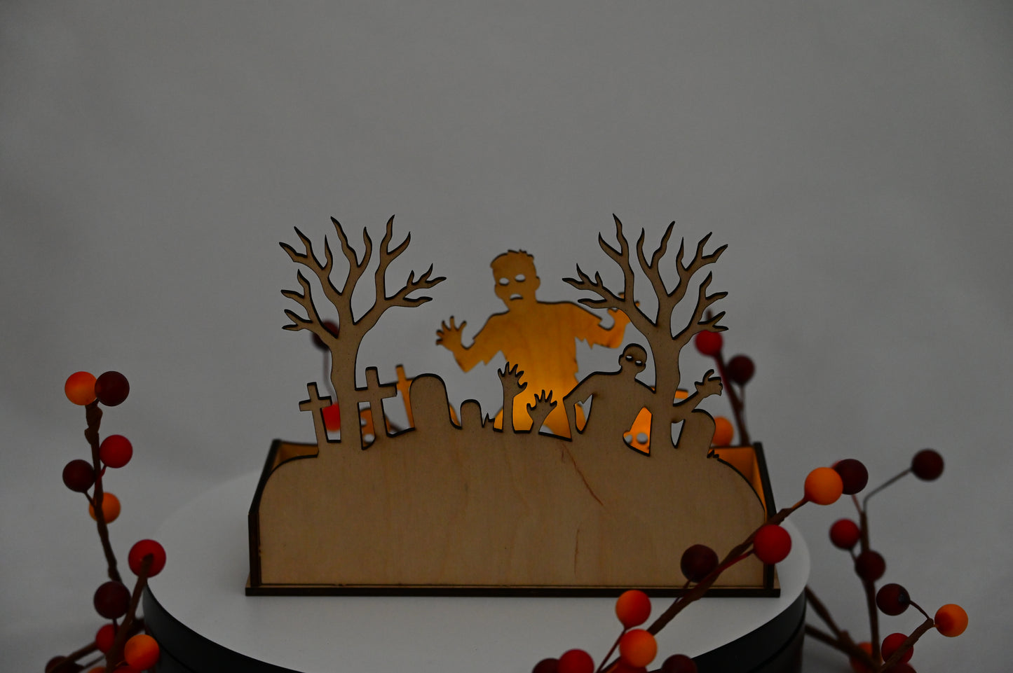 Haunted Display Box #3