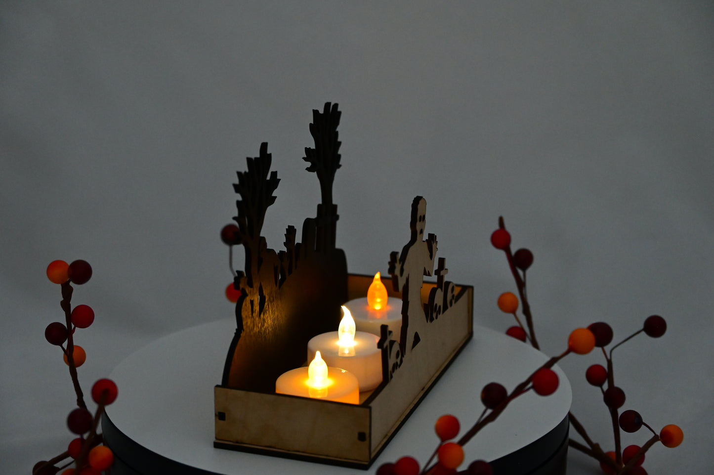 Haunted Display Box #3